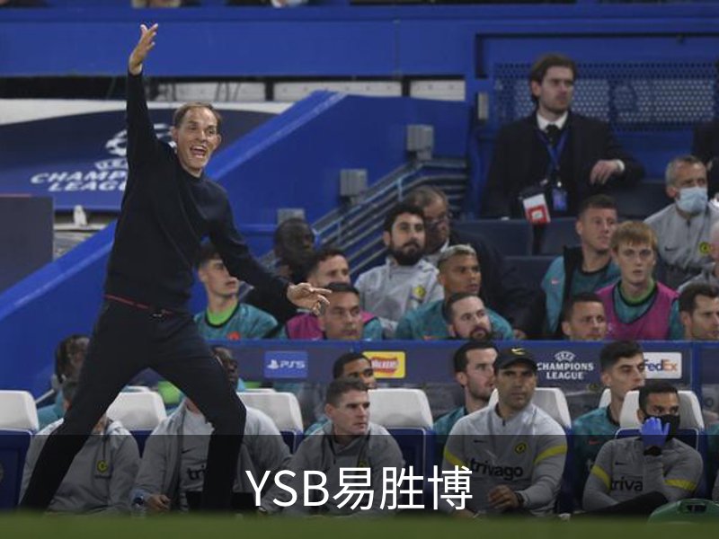 走进YSB易胜博